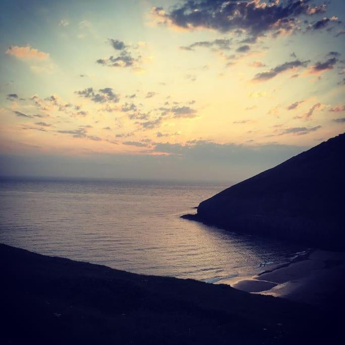Y Boidy Bach Villa Llangranog Dış mekan fotoğraf