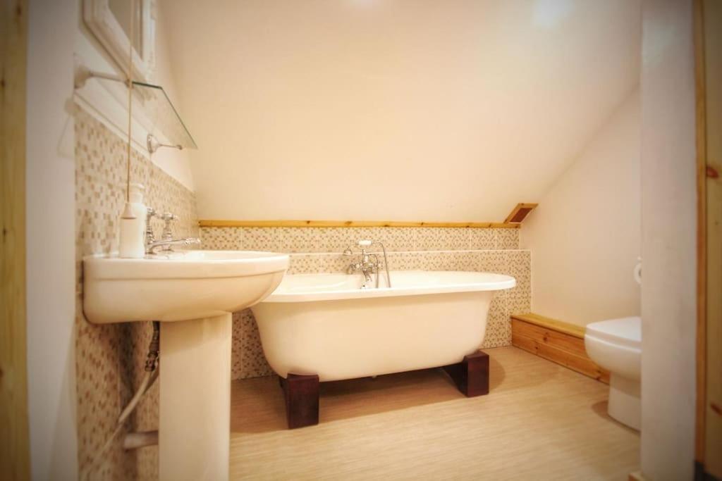 Y Boidy Bach Villa Llangranog Dış mekan fotoğraf