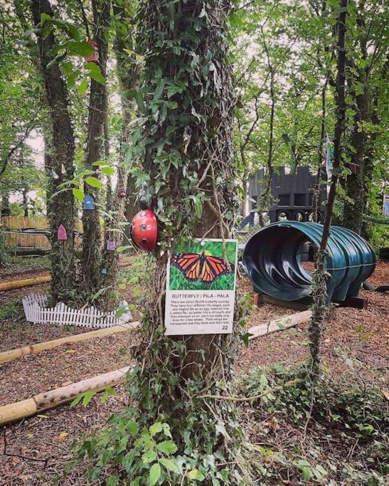 Y Boidy Bach Villa Llangranog Dış mekan fotoğraf